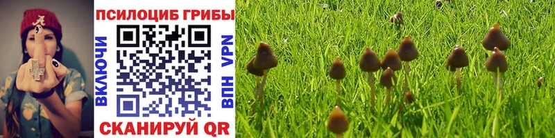 Купить где  Боготол  Галлюциногенные грибы ЛСД 